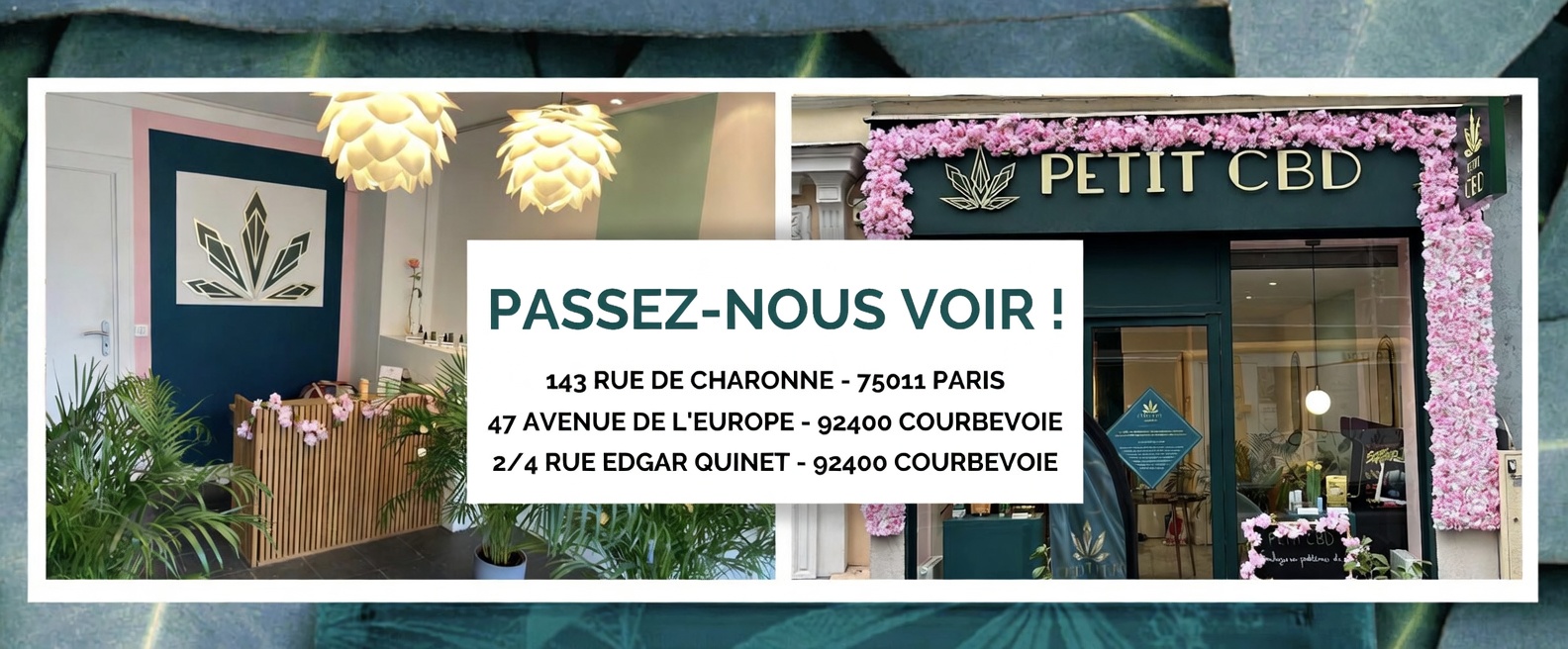 La boutique Petit CBD, rue de Charonne